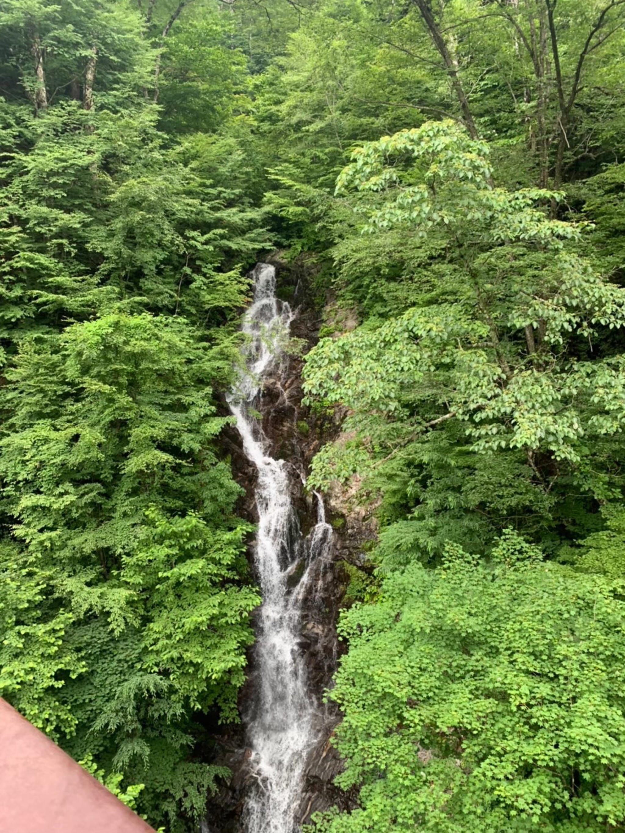 秋川渓谷 瀬音の湯の代表写真10
