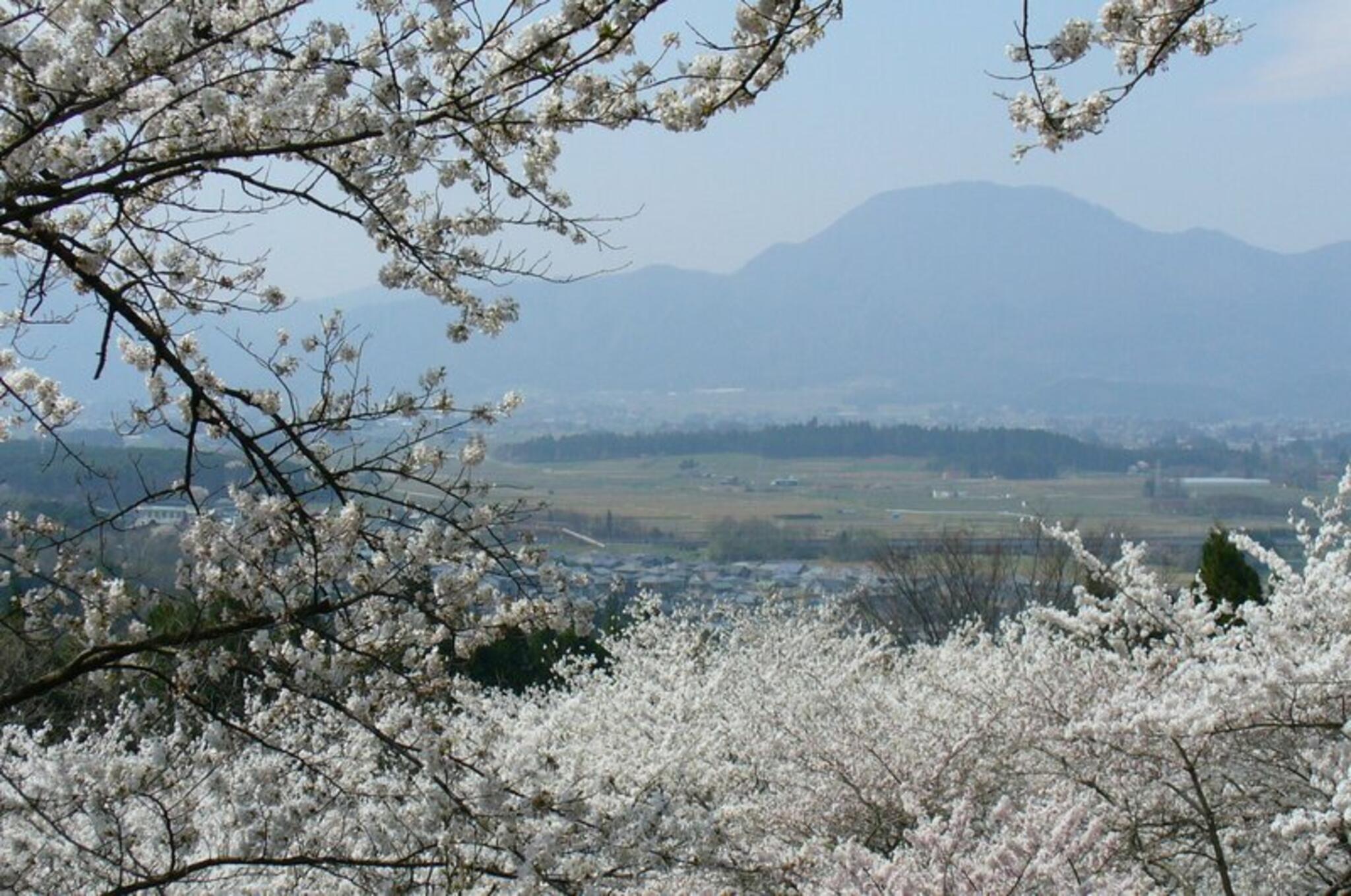 紫波城山公園の代表写真7