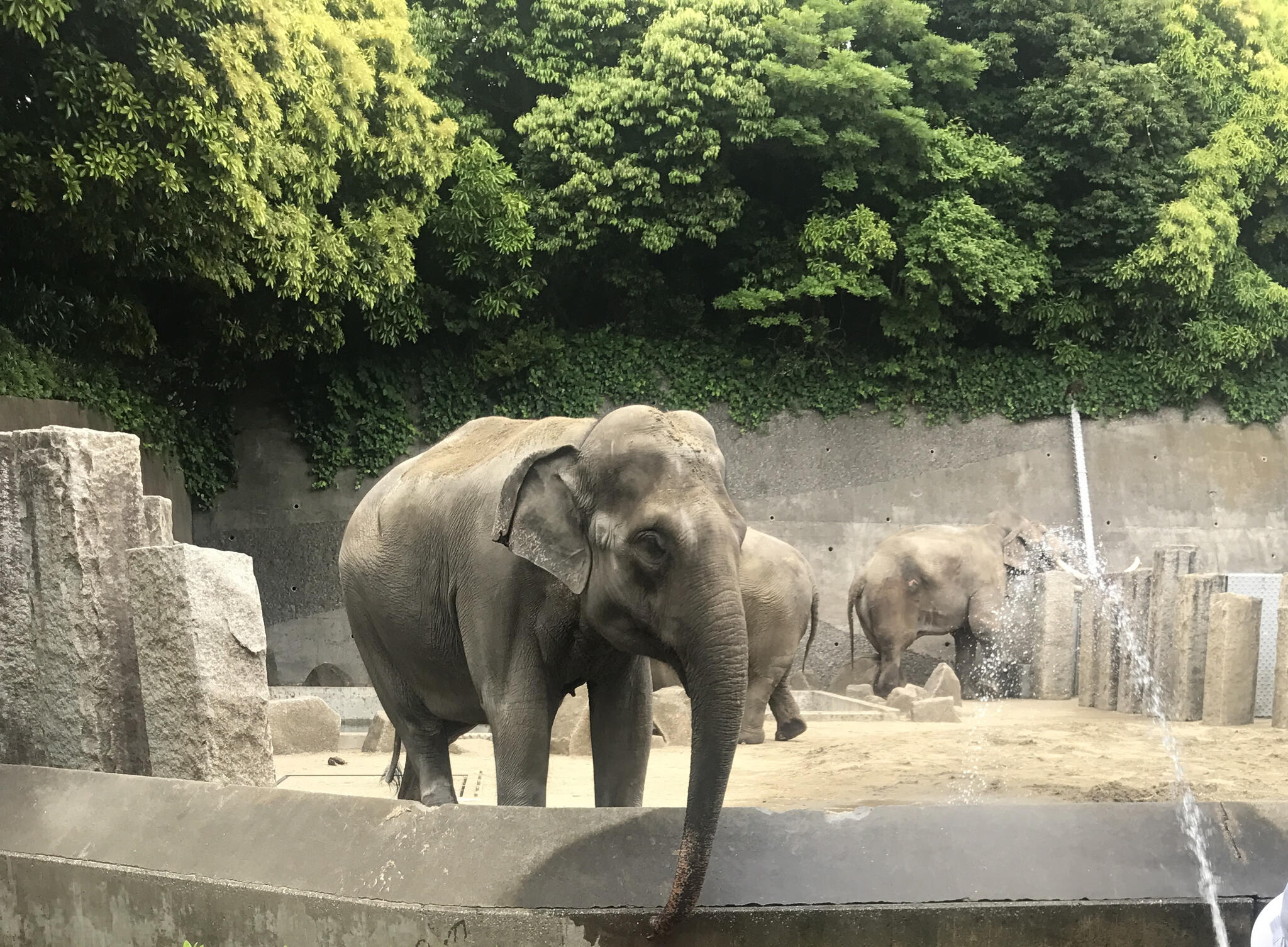 金沢動物園の代表写真10