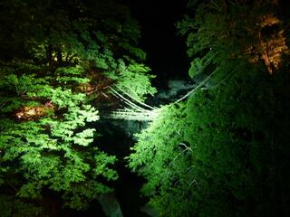 和の宿 ホテル祖谷温泉のクチコミ写真2