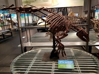 足寄動物化石博物館のクチコミ写真1