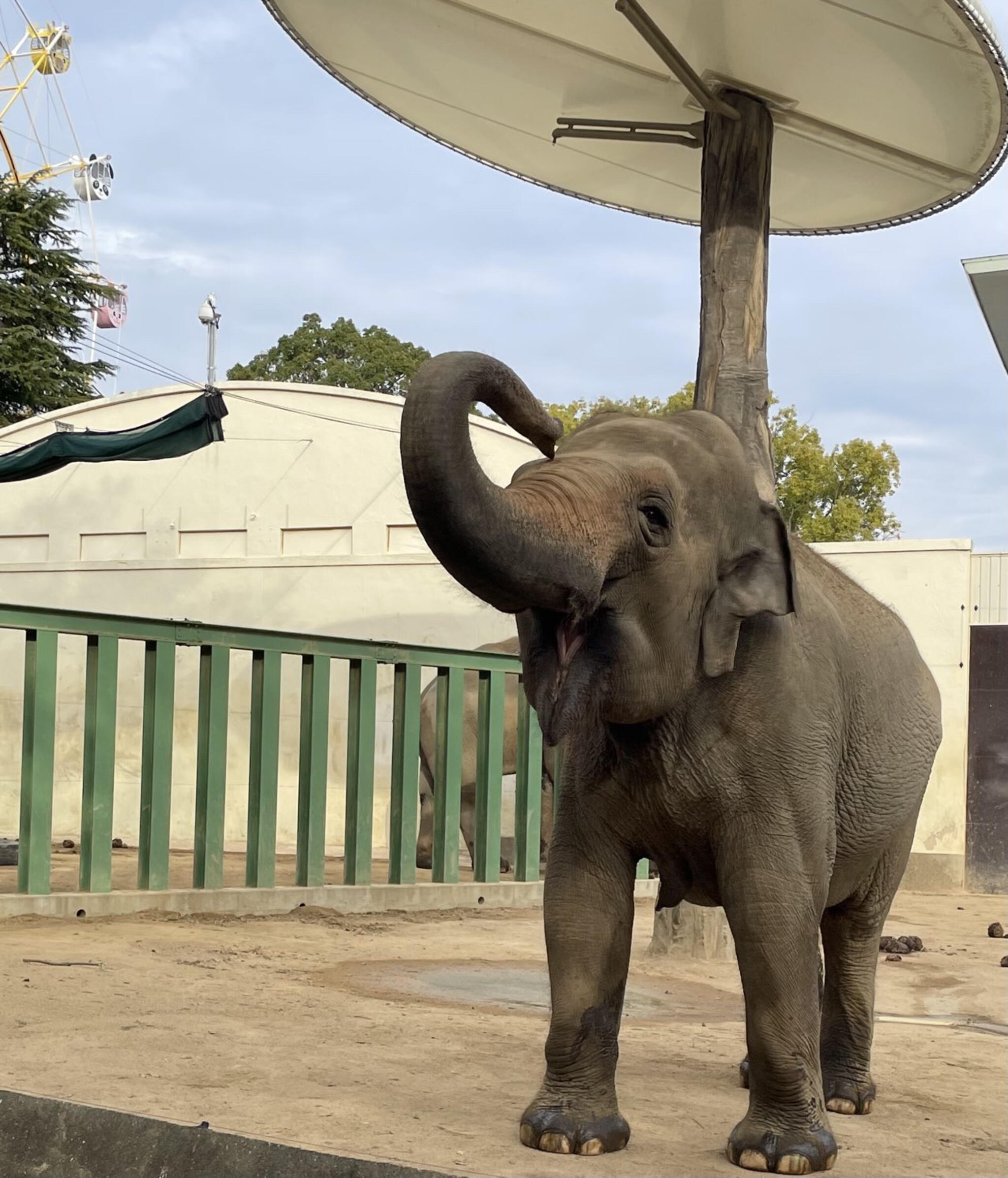 神戸市立王子動物園の代表写真10