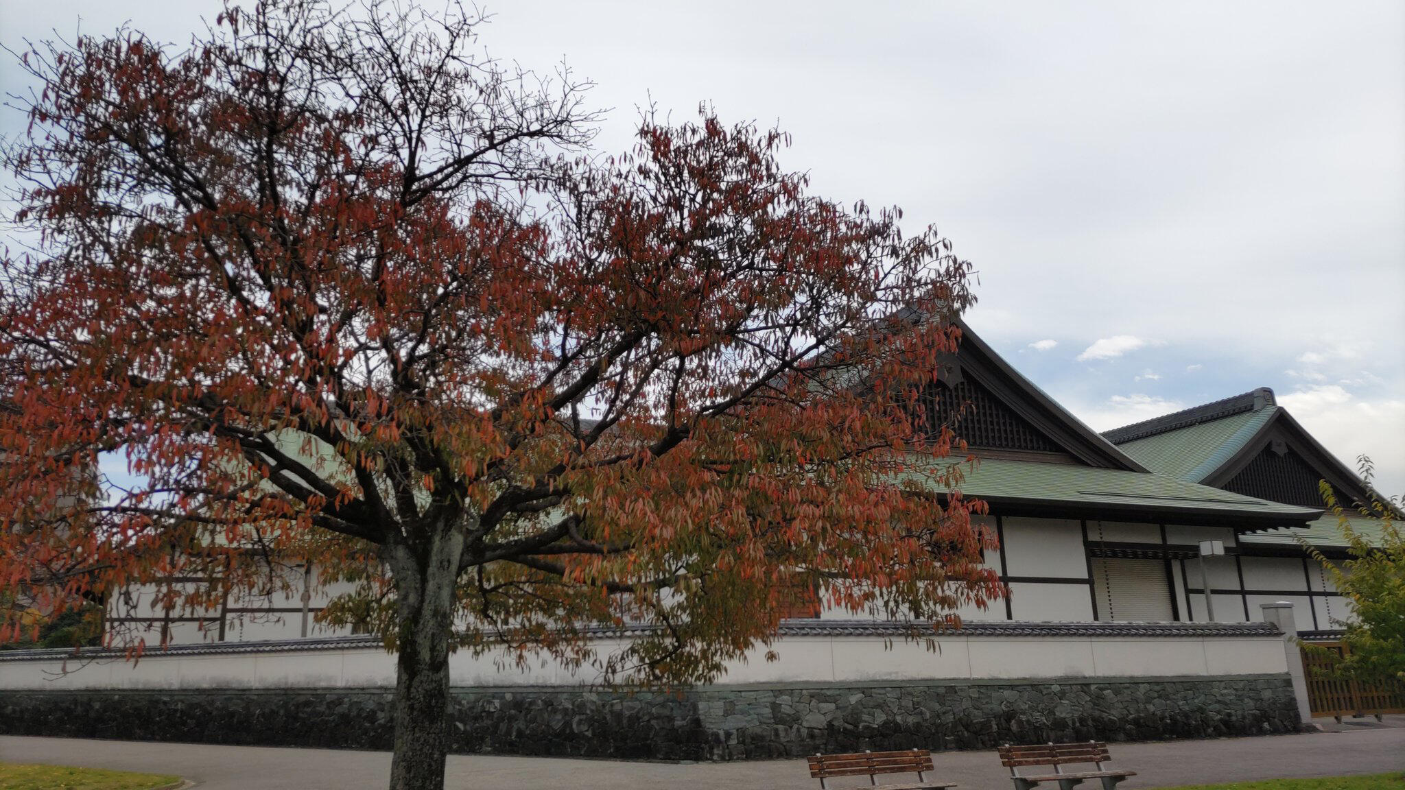 徳島市立徳島城博物館の代表写真8