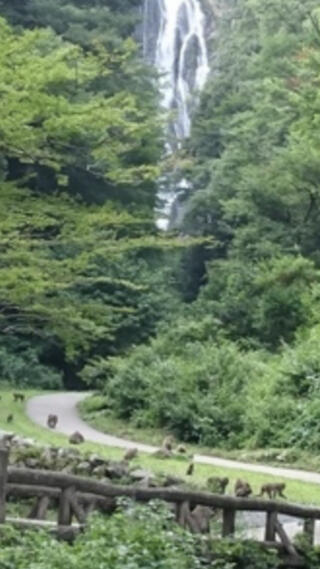 神庭の滝自然公園のクチコミ写真1