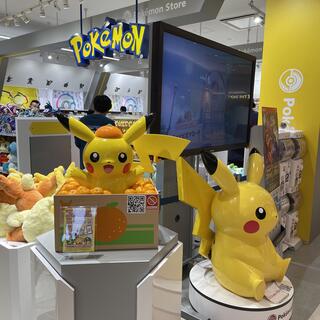 写真 : ポケモン ストア エミフルMASAKI店 - 伊予郡松前町大字筒井/アニメ・ゲームグッズ店 | Yahoo!マップ