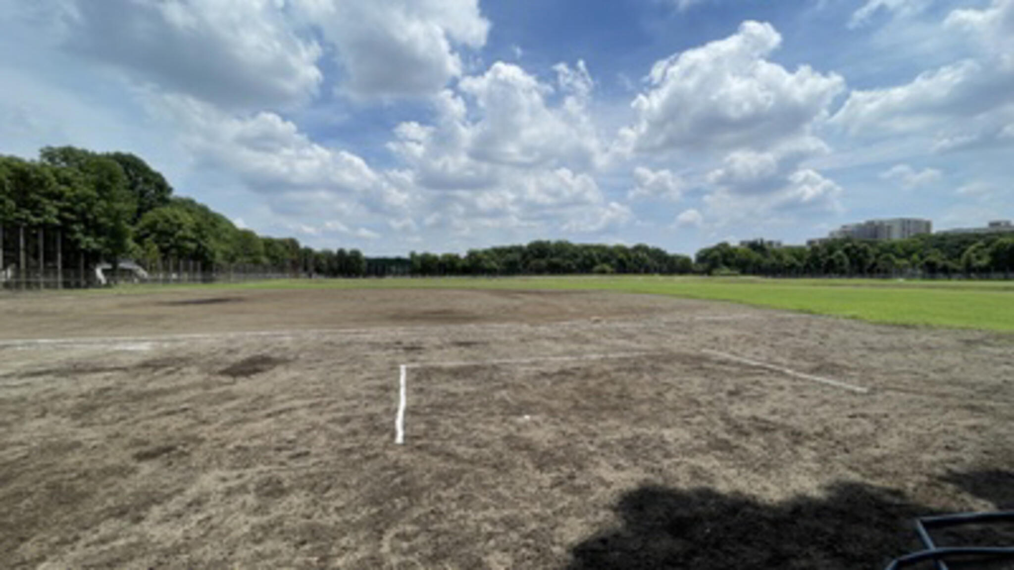 光が丘公園軟式野球場の代表写真4