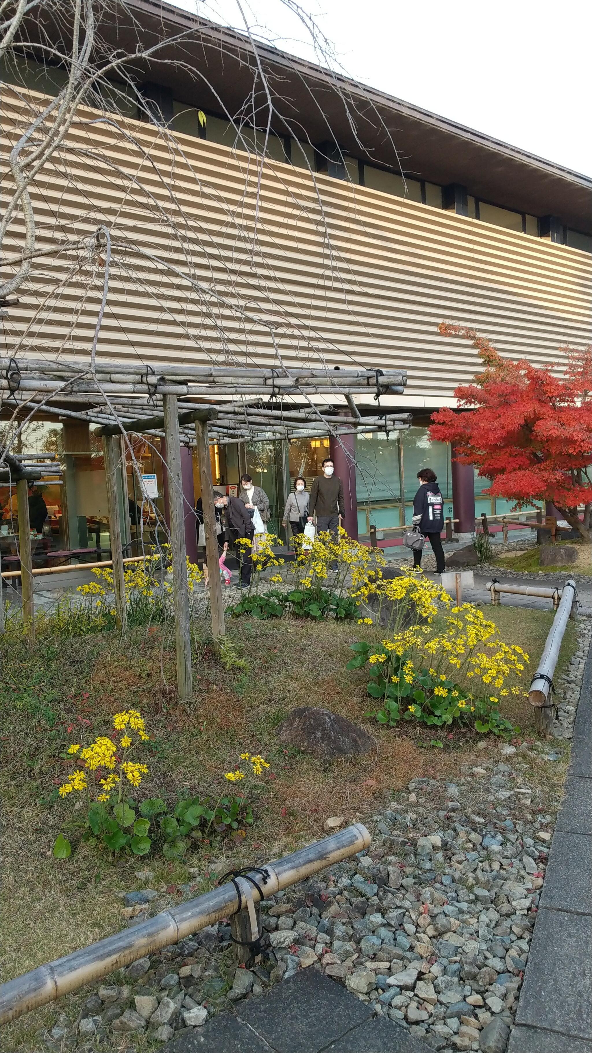 小倉山荘 竹生の郷本館の代表写真10