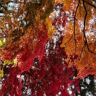 高野山の写真10