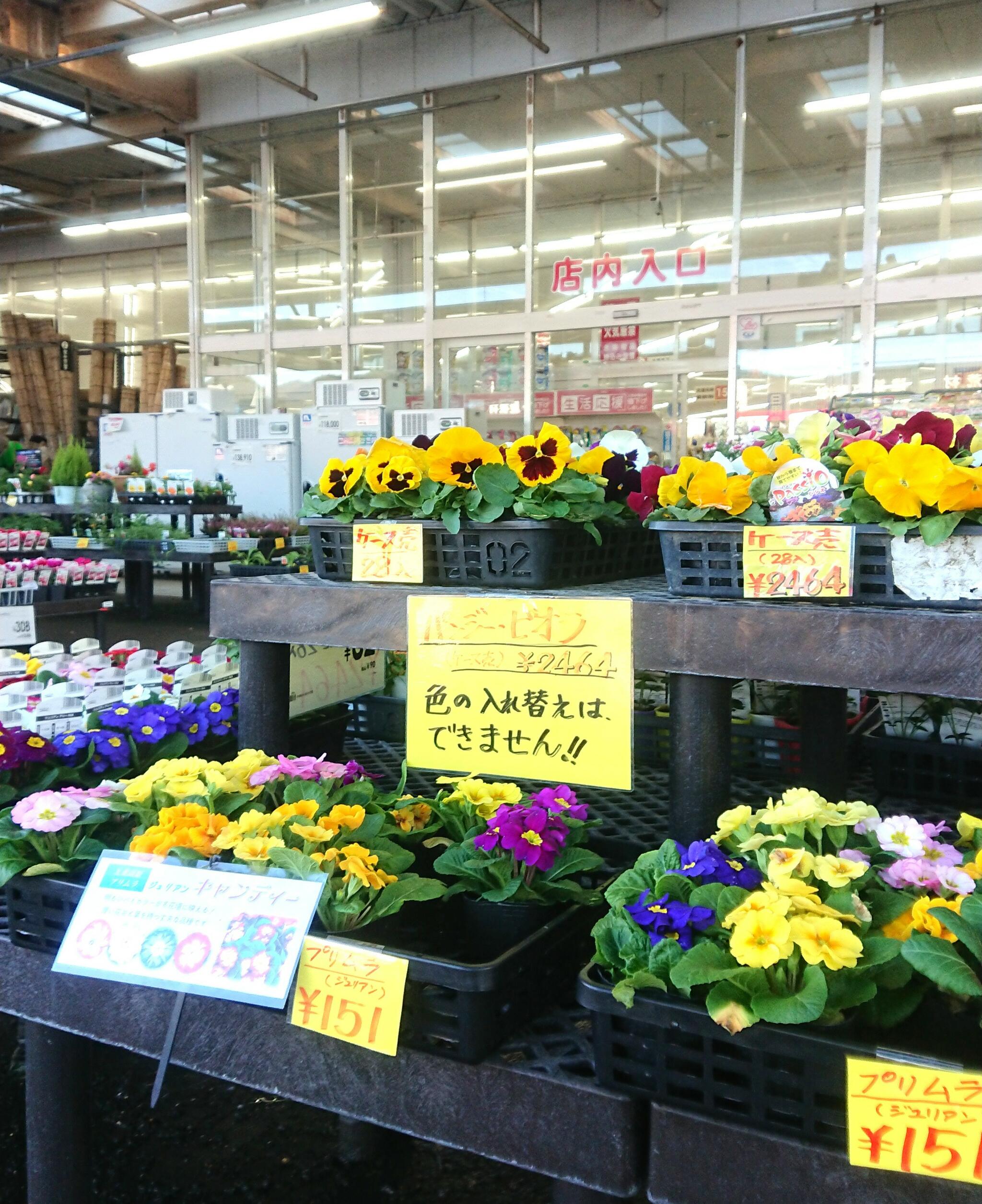 ナフコ 宮田店の代表写真5