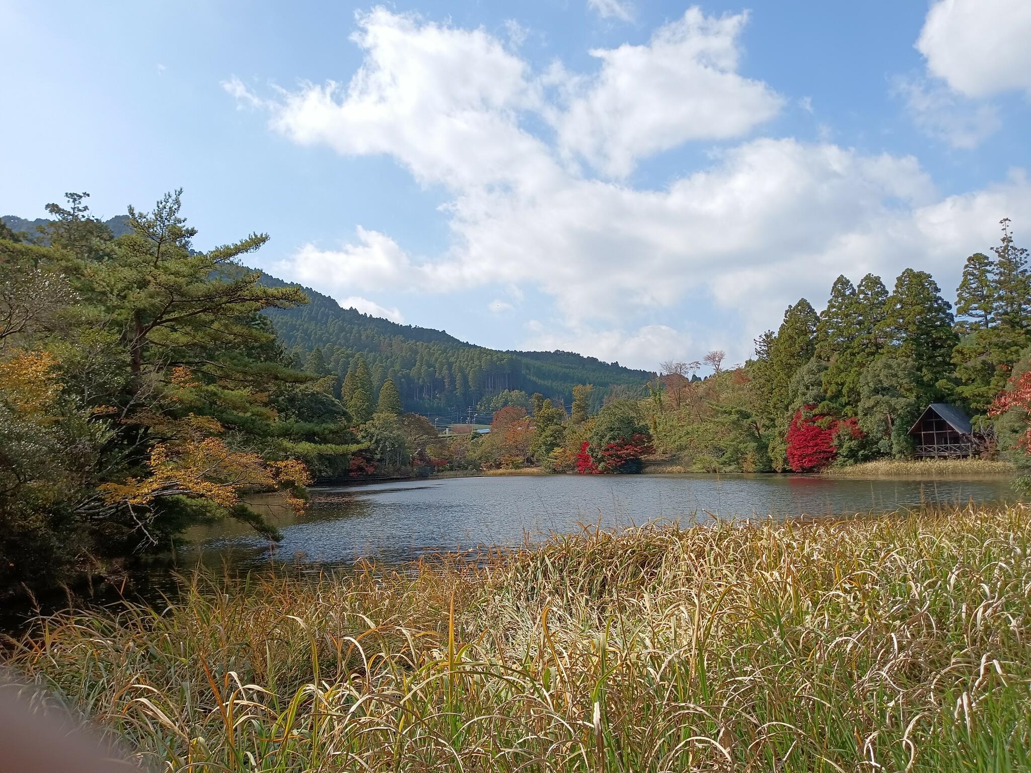 池の山キャンプ場の代表写真10