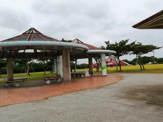 沖縄県総合運動公園多目的広場のクチコミ写真1