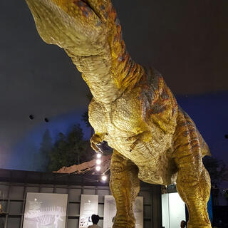 福井県立恐竜博物館の写真10