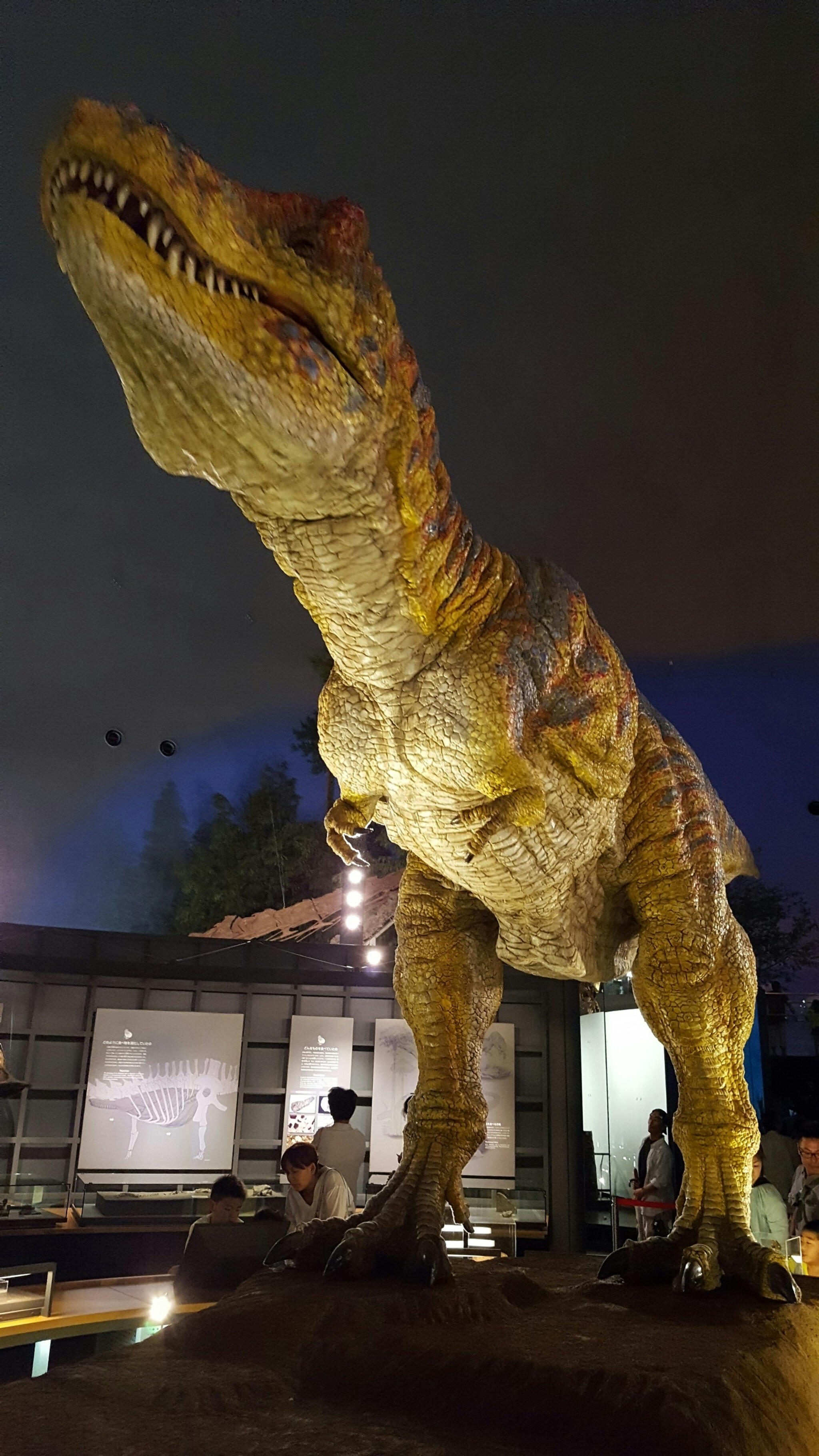 福井県立恐竜博物館の代表写真10