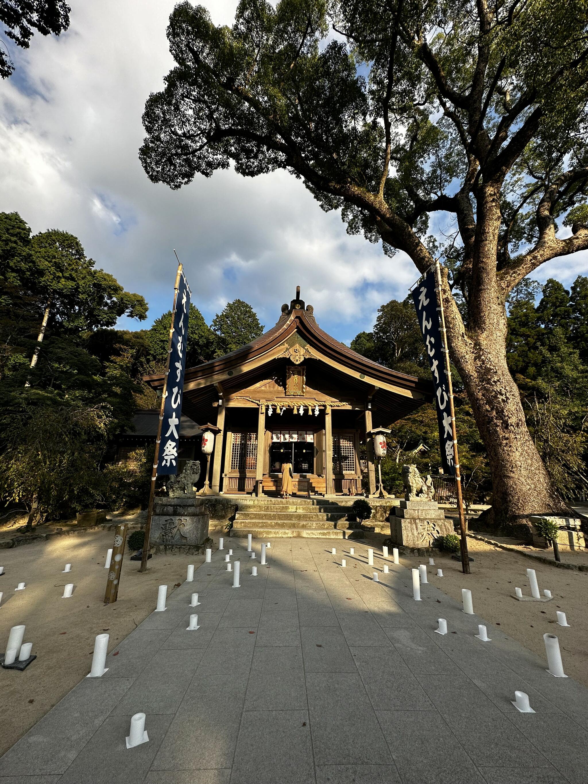 宝満宮 竈門神社の代表写真6