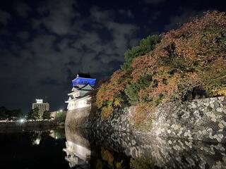 富山市郷土博物館のクチコミ写真1