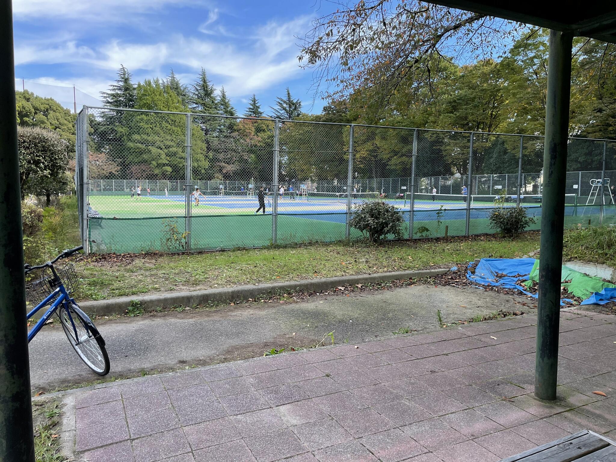 所沢航空記念公園テニスコートの代表写真4