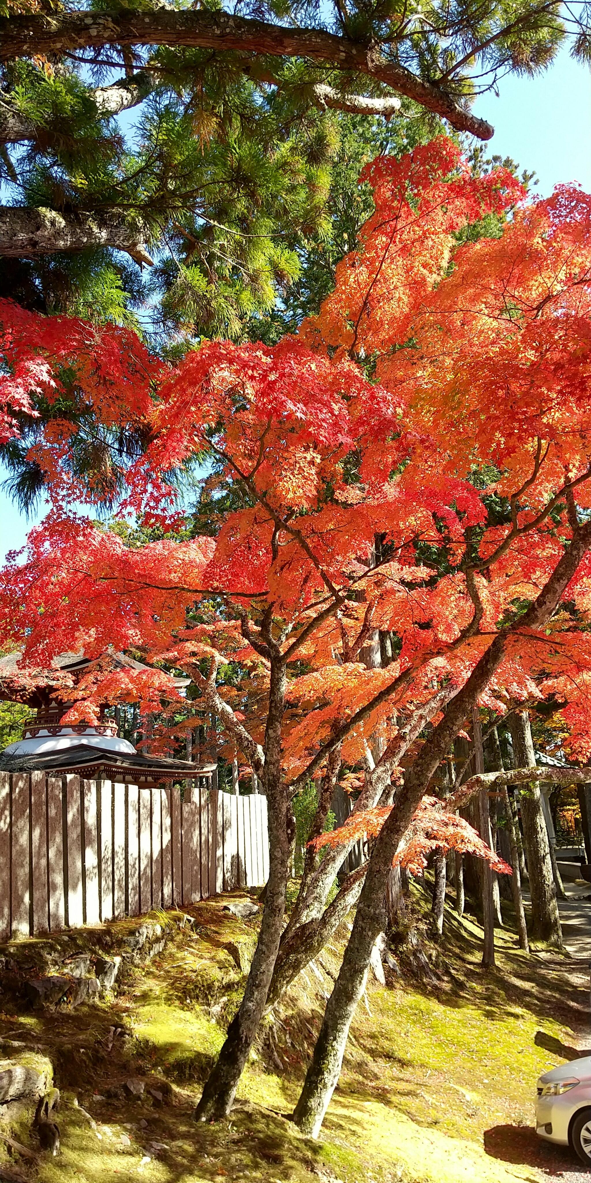 高野山の代表写真2