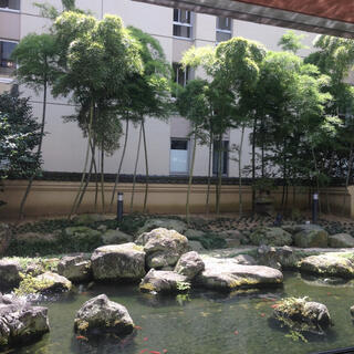 大江戸温泉物語Premium ホテル壮観の写真27