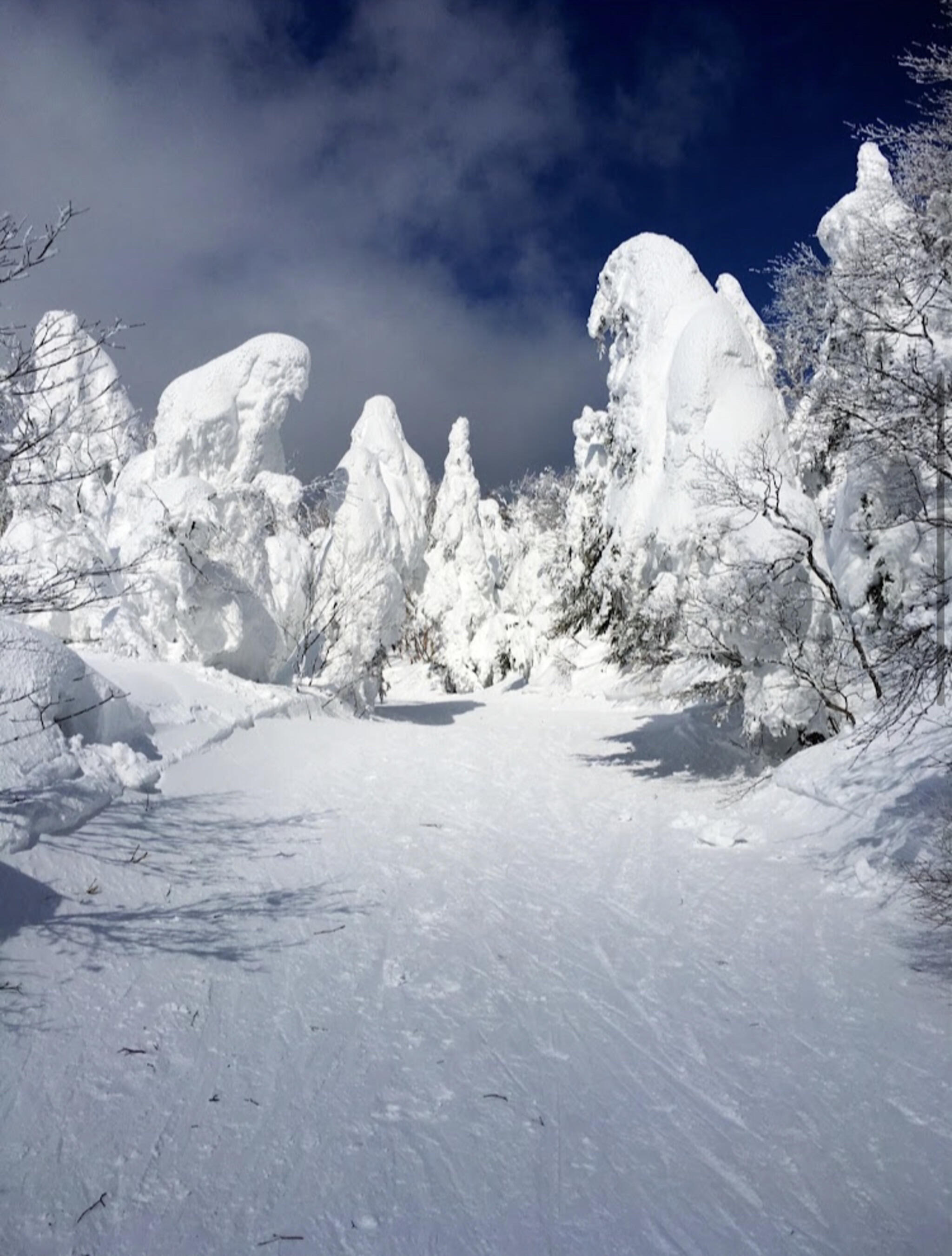 蔵王温泉スキー場の代表写真3