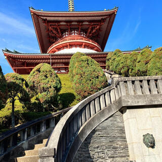 成田山新勝寺の写真7