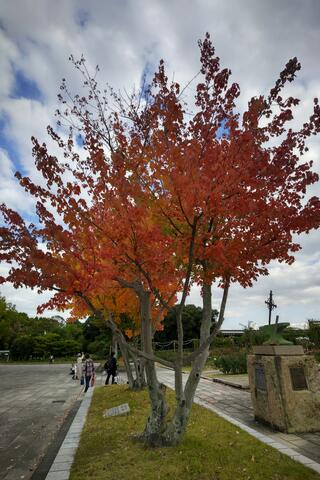 大阪日本民芸館のクチコミ写真2