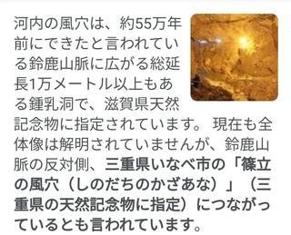 河内の風穴のクチコミ写真2