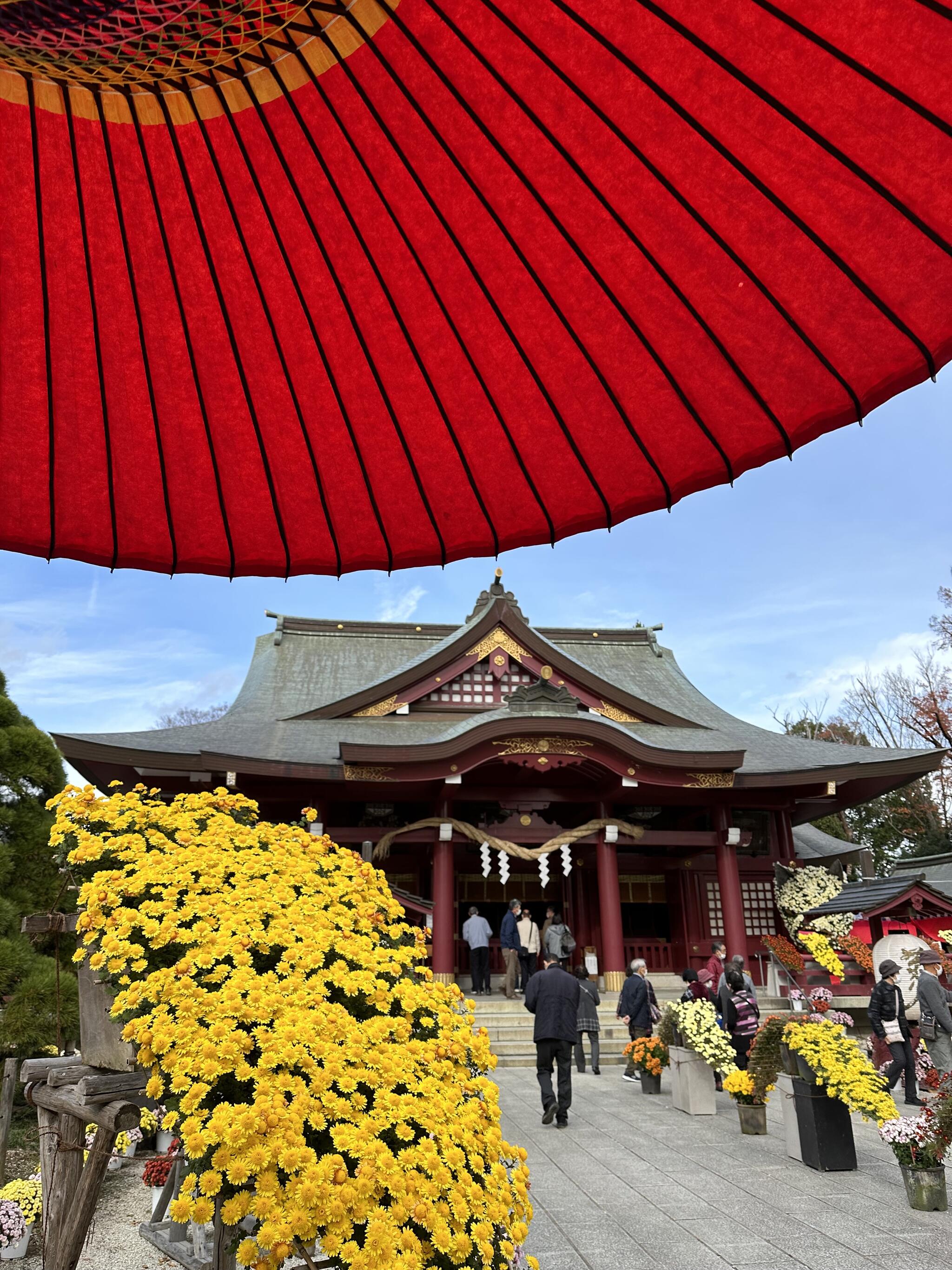 笠間稲荷神社の代表写真5