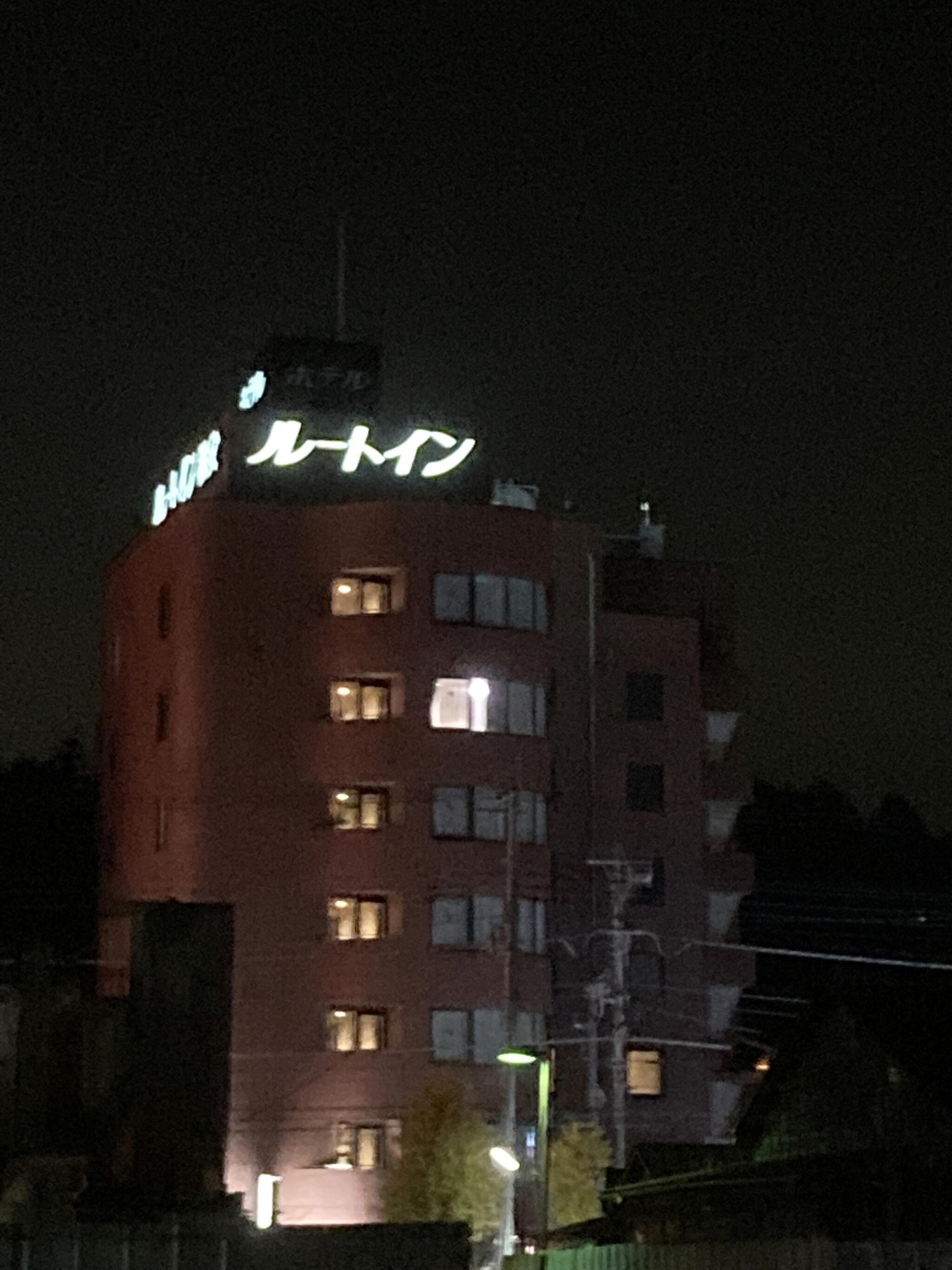 ホテルルートイン西武秩父駅前の代表写真8