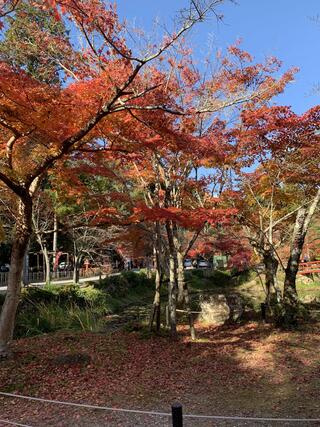 大原野神社のクチコミ写真3