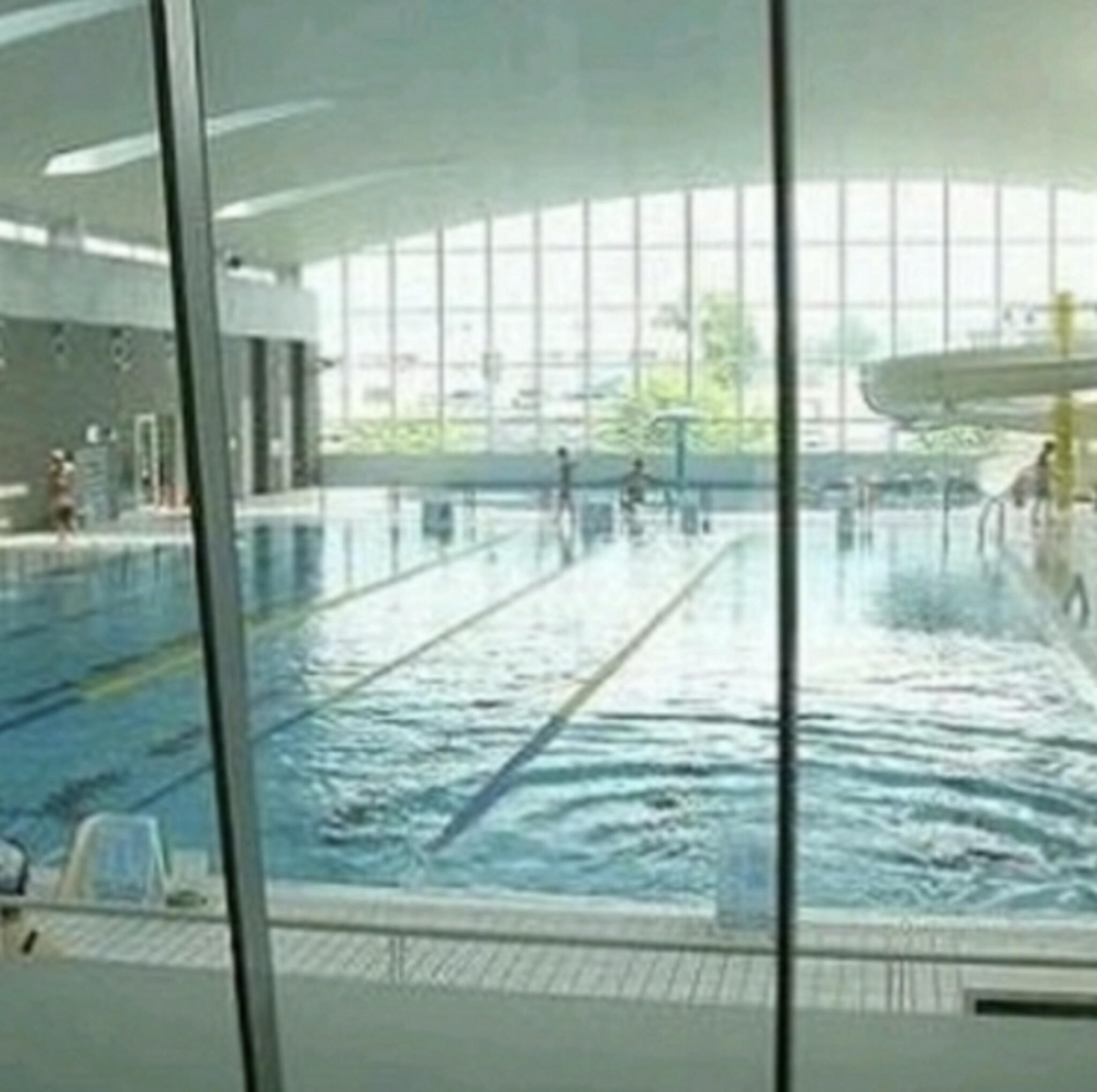 八尾市立スポーツ施設屋内プールの代表写真7