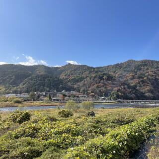京都嵐山 花のいえの写真8