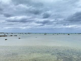 佐和田の浜のクチコミ写真1