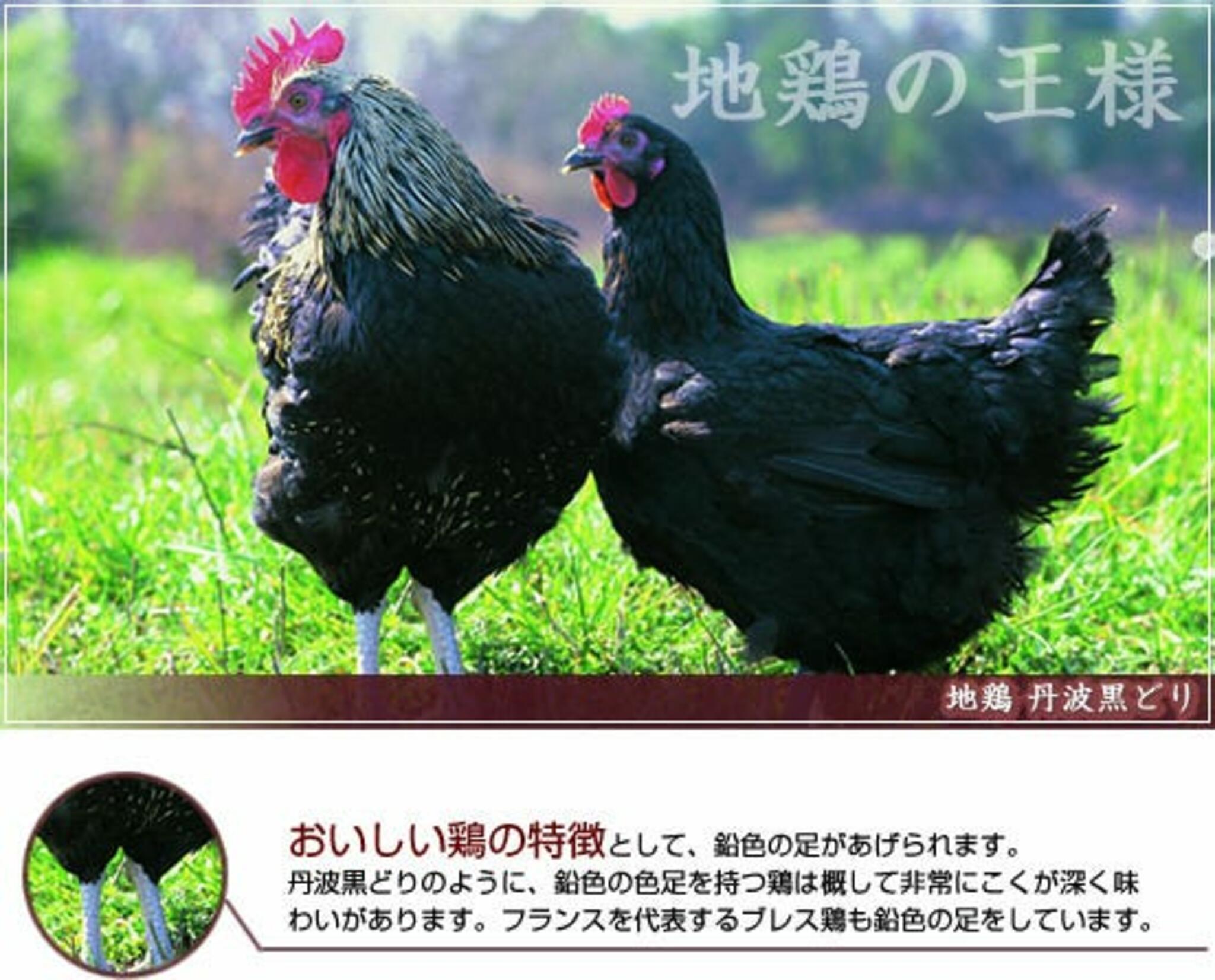 京都 丹波黒地鶏かずきの代表写真1