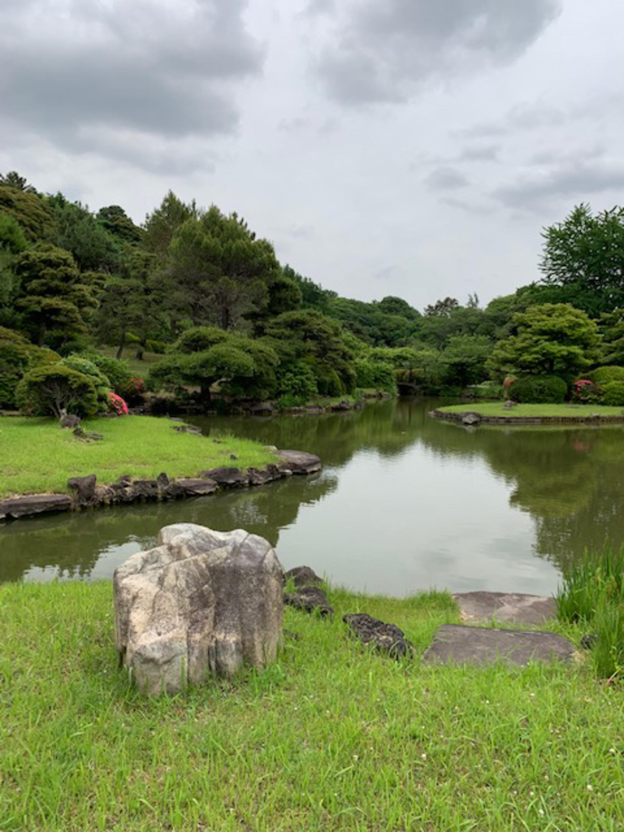 小石川植物園の代表写真6