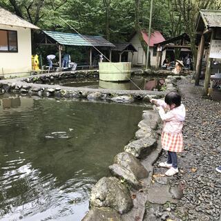 クチコミ : 清川リバーランド - 愛甲郡清川村煤ヶ谷/キャンプ場 | Yahoo!マップ