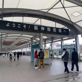 JRA 阪神競馬場の写真6