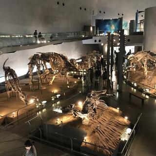 福井県立恐竜博物館の写真4