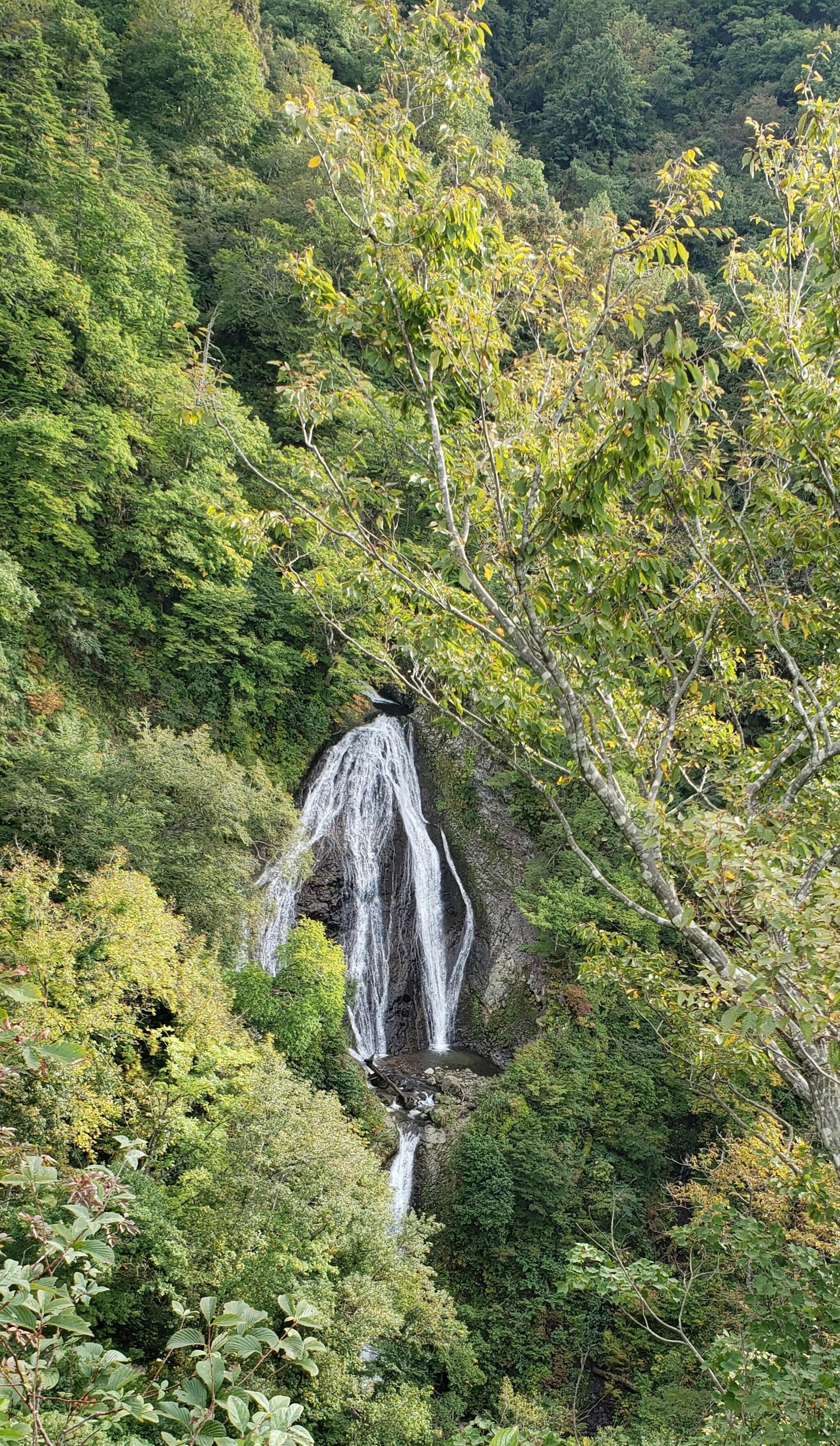 七ツ滝の代表写真1