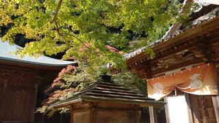 箸蔵寺のクチコミ写真1