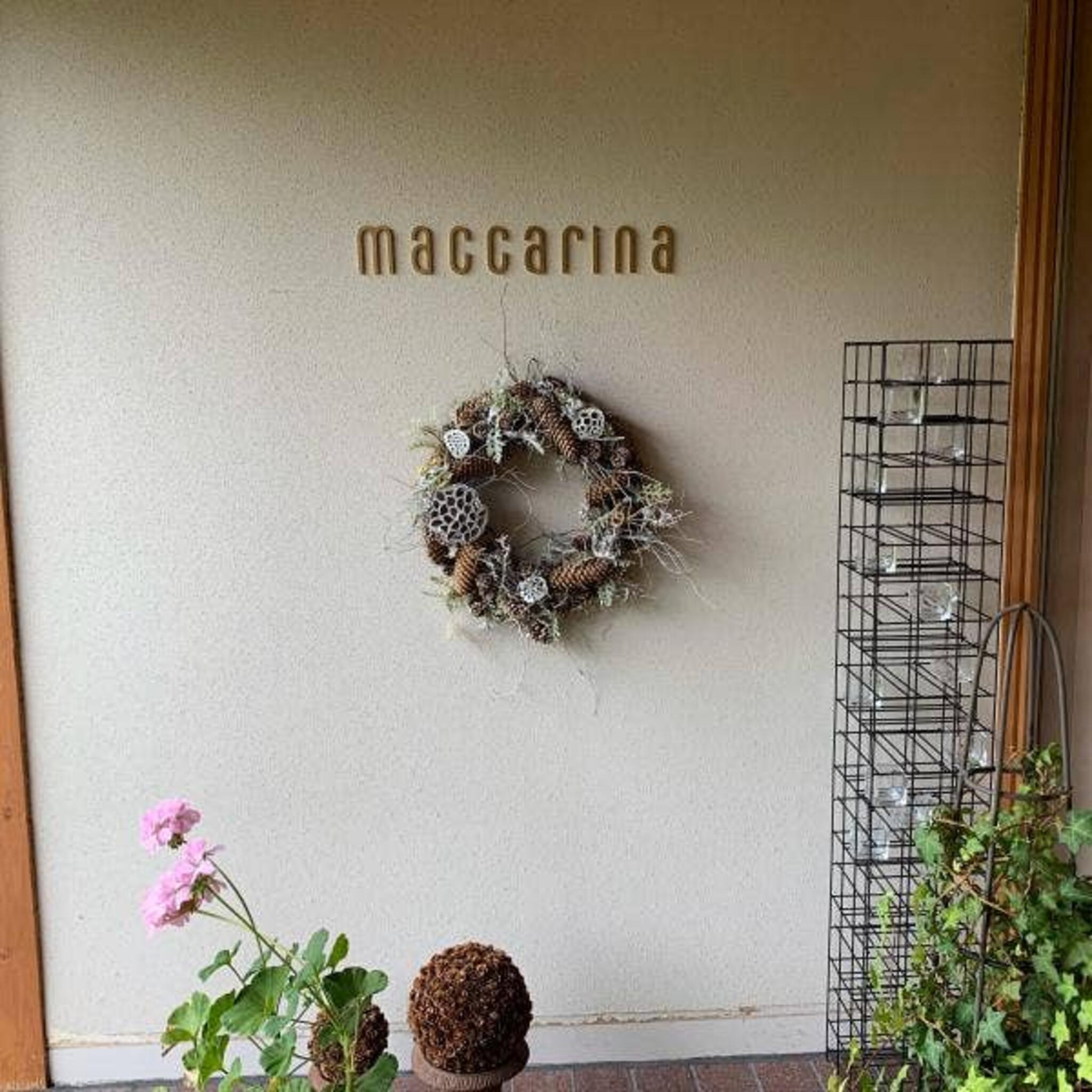レストランマッカリーナの代表写真10