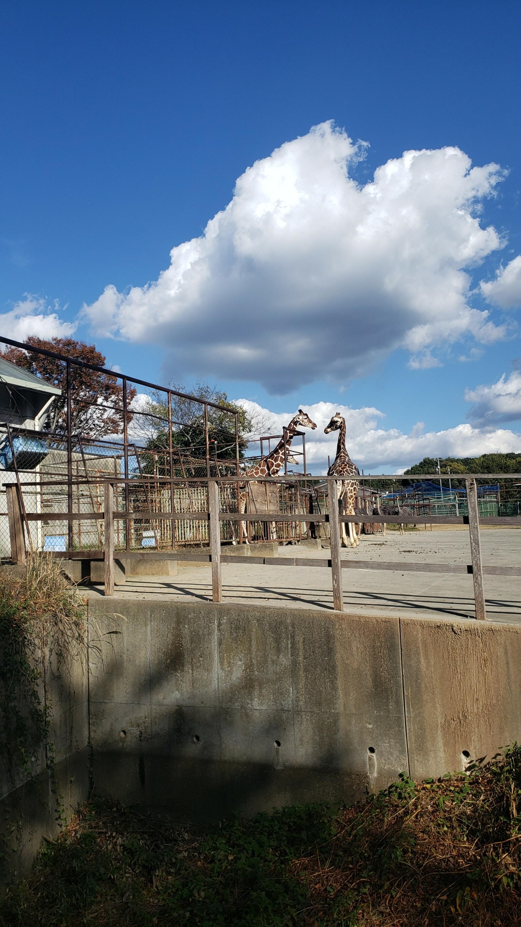 浜松市動物園の代表写真2