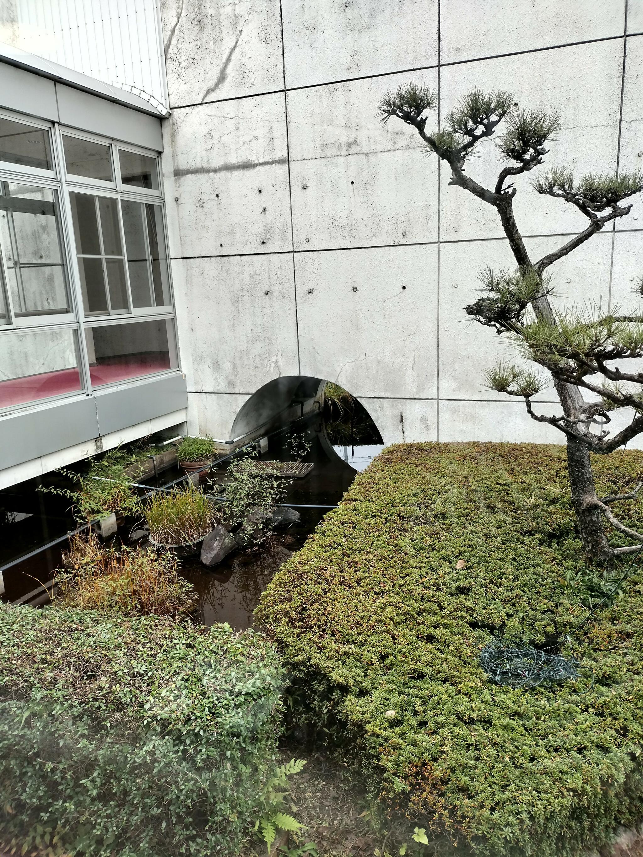 羽島市老人福祉センター 羽島温泉の代表写真6