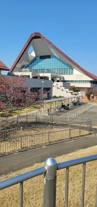 名古屋市稲永スポーツセンターのクチコミ写真2