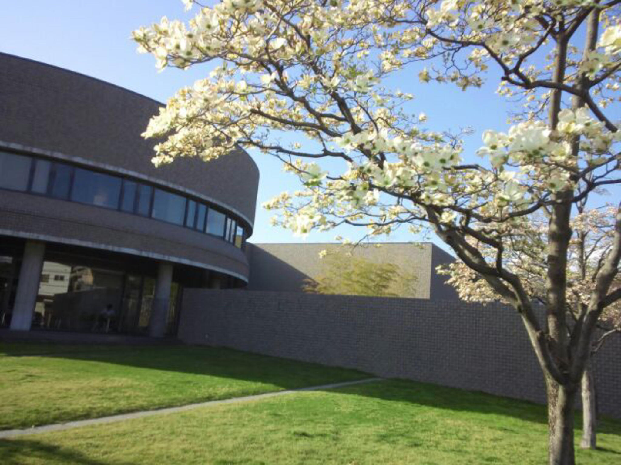 甲府市立図書館の代表写真3