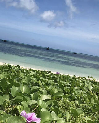 佐和田の浜のクチコミ写真1