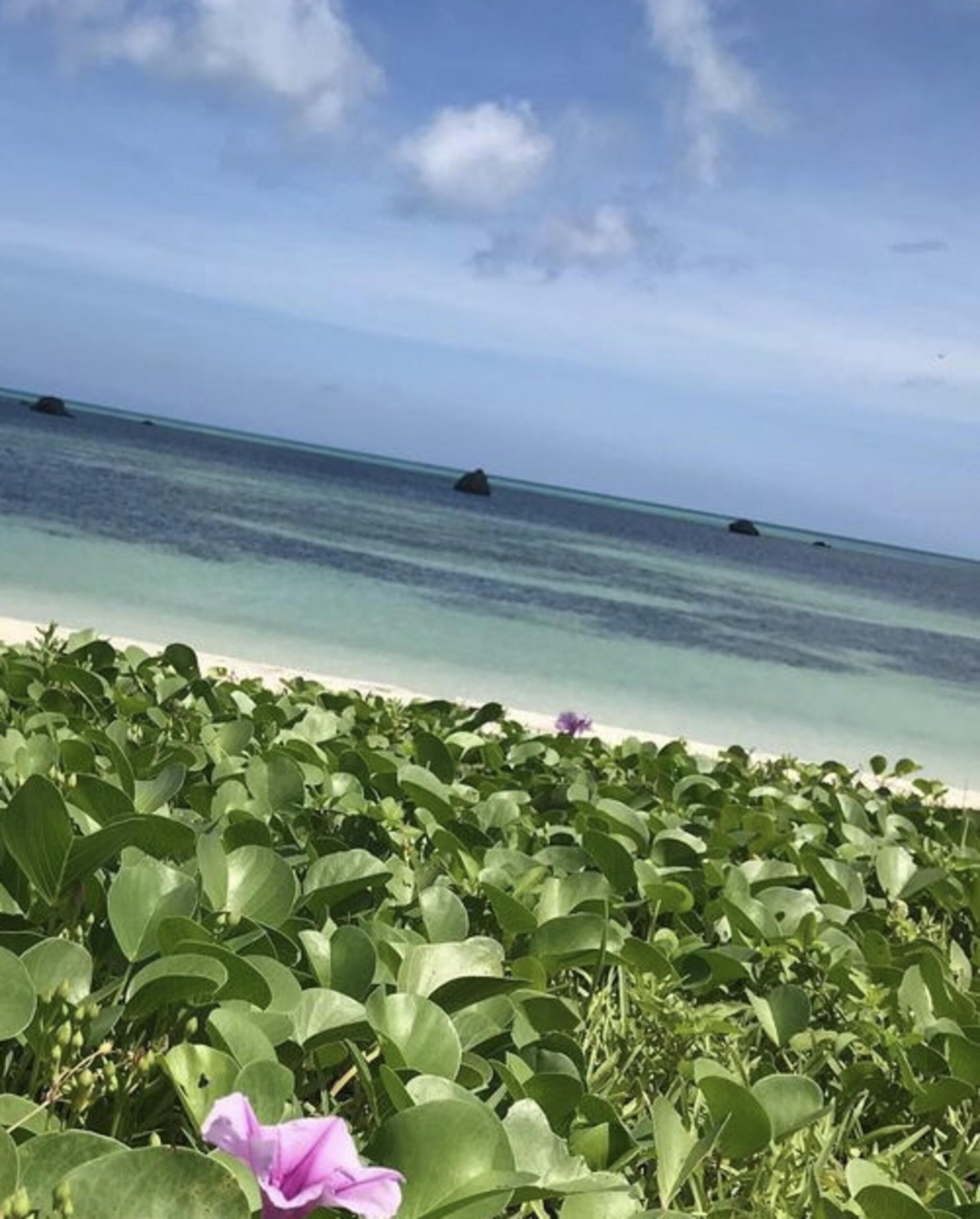 佐和田の浜の代表写真9