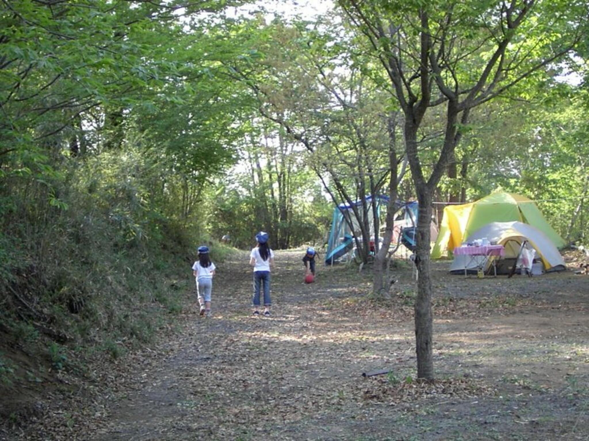南那須オートキャンプ場の代表写真2