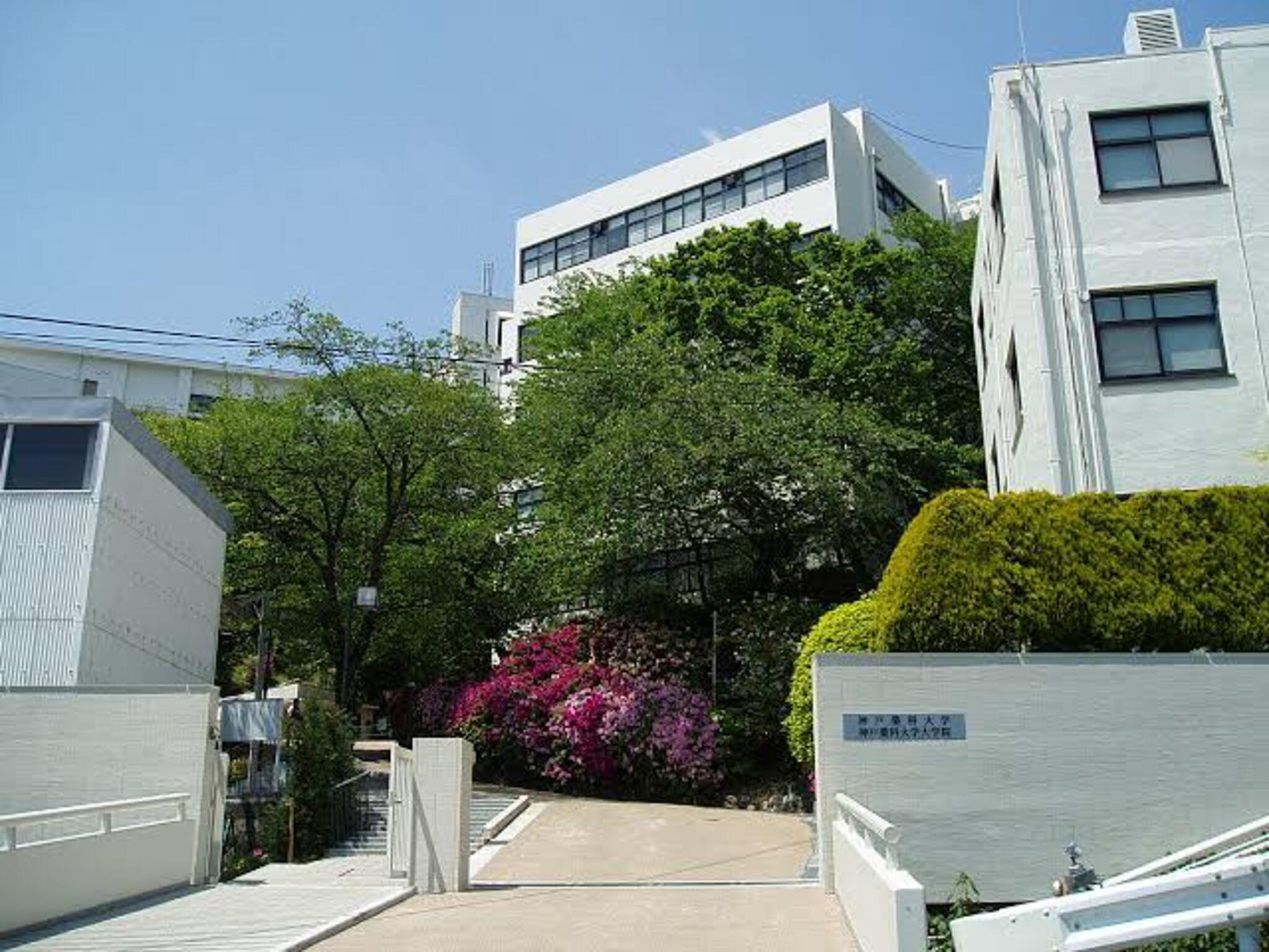 神戸薬科大学図書館の代表写真1