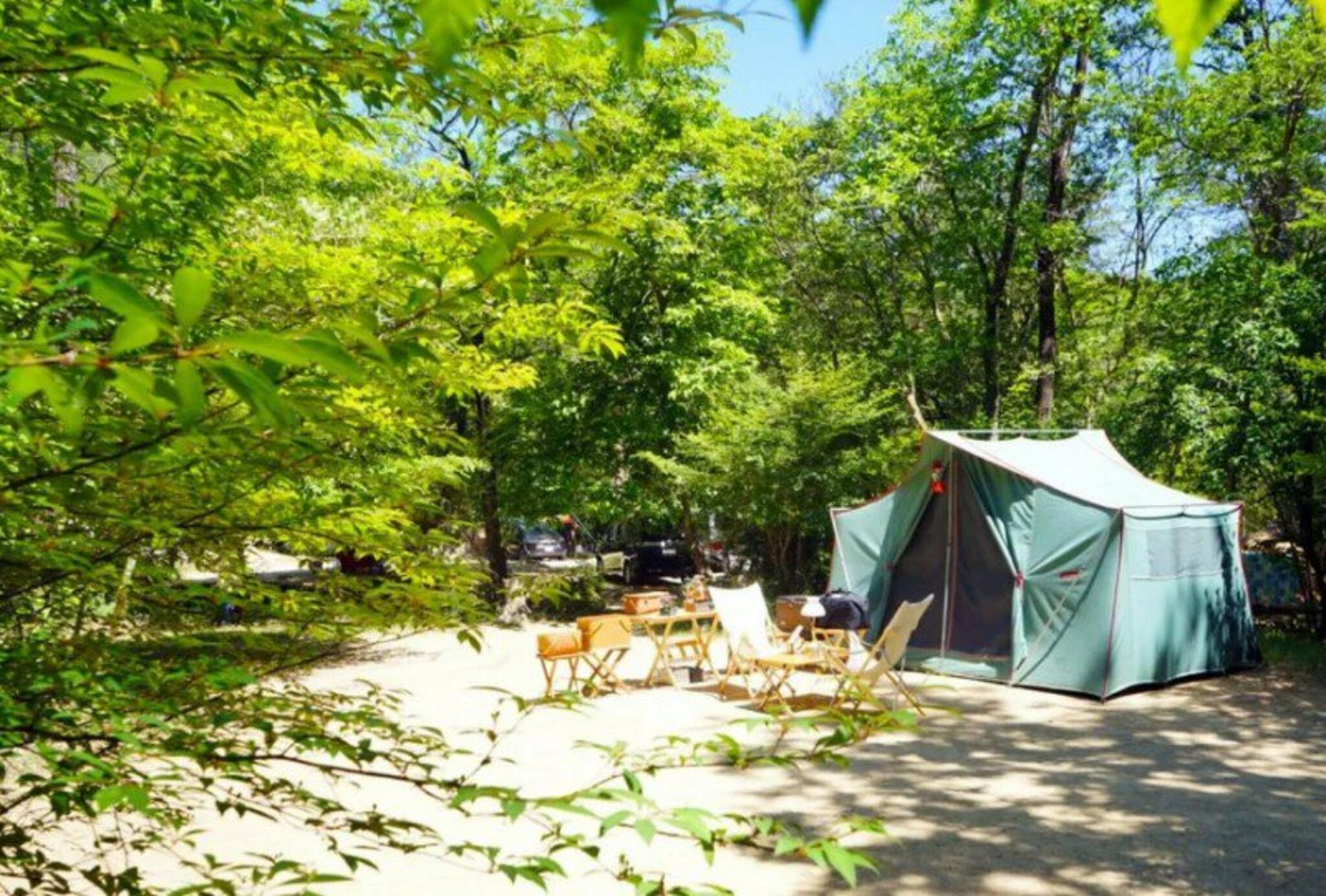 自然の森ファミリーオートキャンプ場の代表写真8