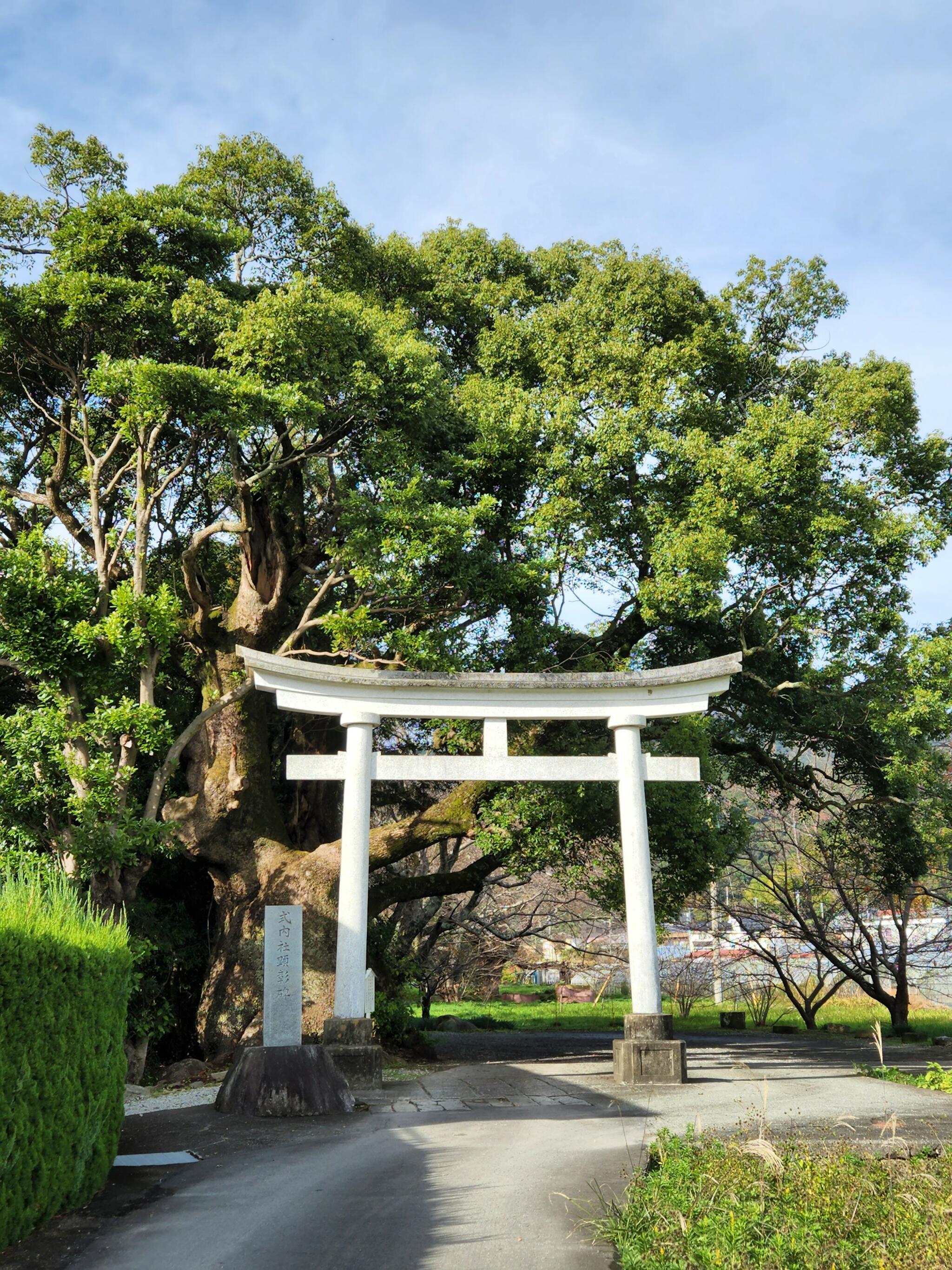 川津来宮神社の代表写真4